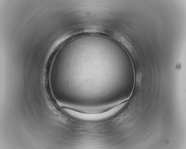 X0000093610724200711051218