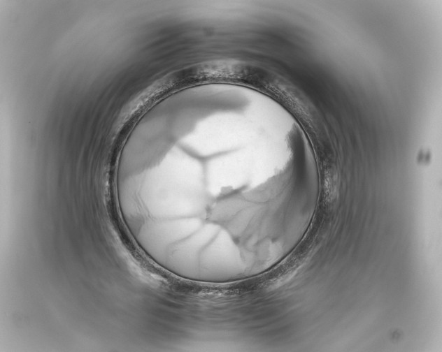 X0000093610725200711051218