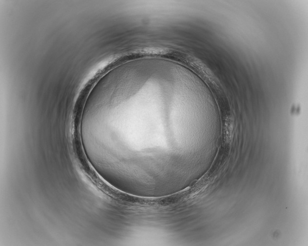 X0000093610726200711051218