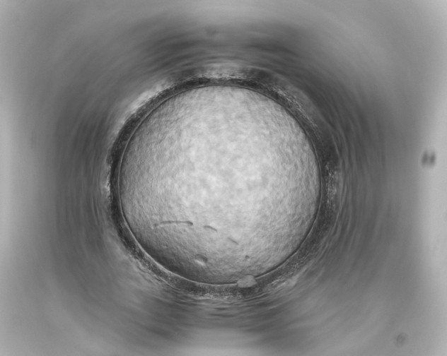 X0000093610727200711051218