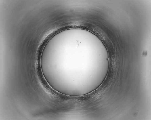 X0000093610728200711051218