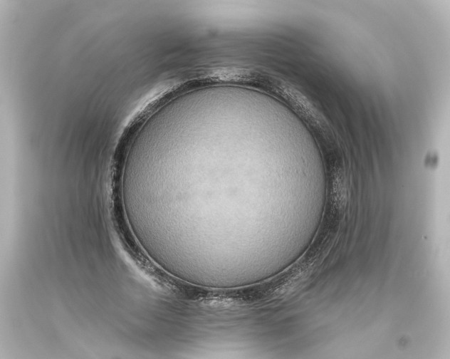 X0000093610730200711051218