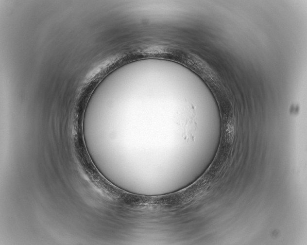 X0000093610732200711051218
