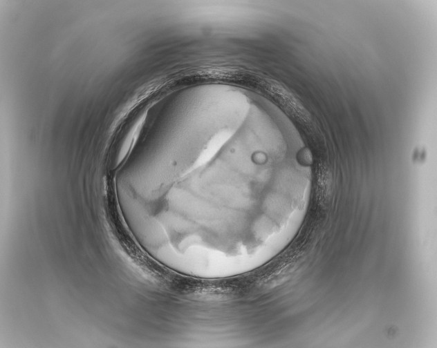 X0000093610734200711051218