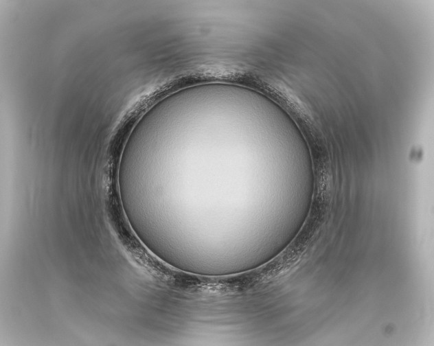 X0000093610736200711051218