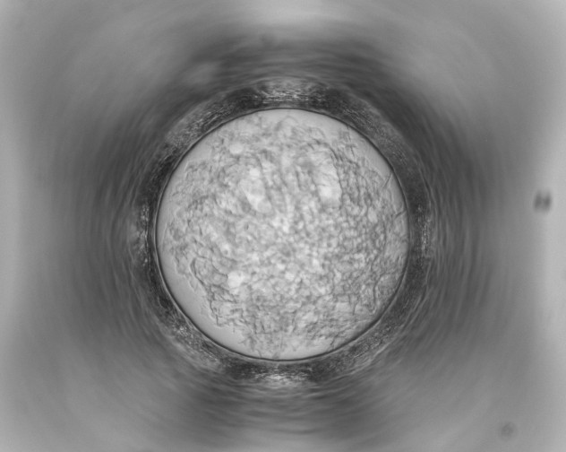 X0000093610737200711051218