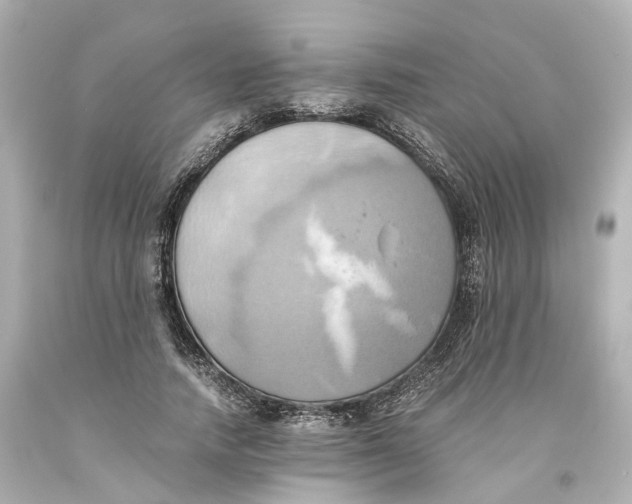 X0000093610738200711051218