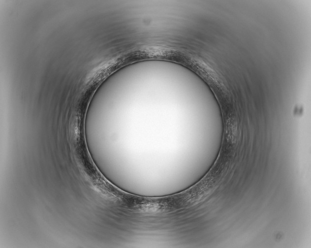 X0000093610740200711051219