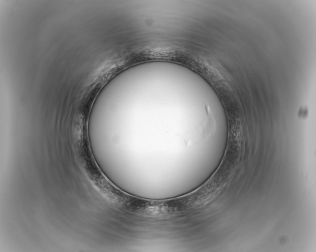 X0000093610744200711051219