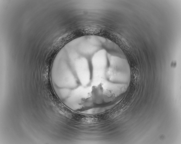 X0000093610745200711051219