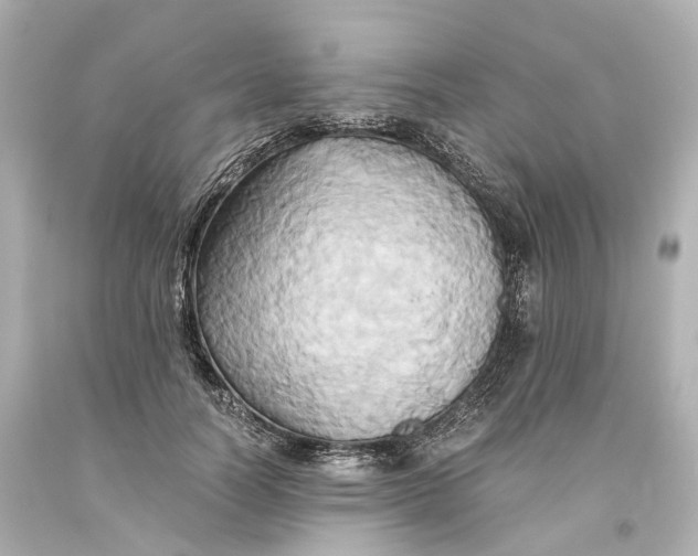 X0000093610746200711051219