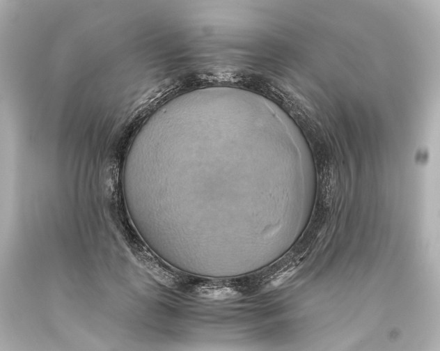 X0000093610747200711051219