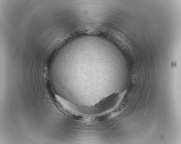 X0000093610748200711051219