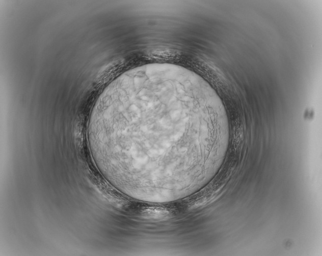 X0000093610749200711051219