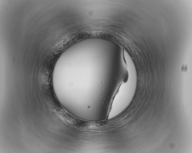 X0000093610750200711051219