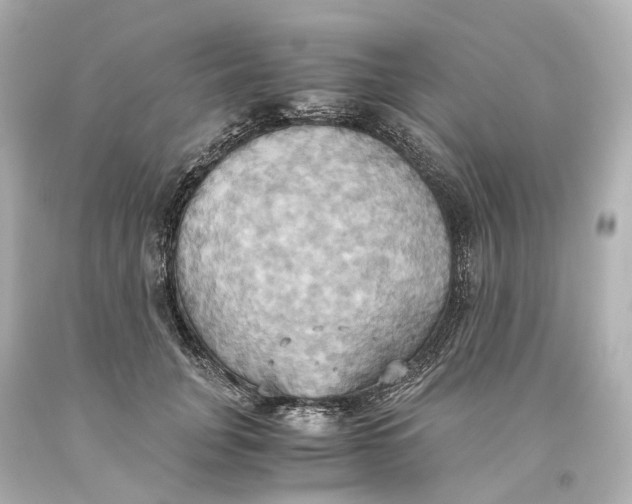 X0000093610751200711051219
