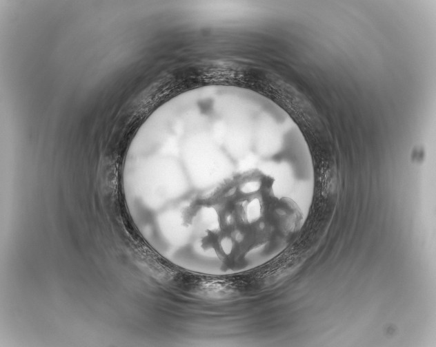 X0000093610753200711051219