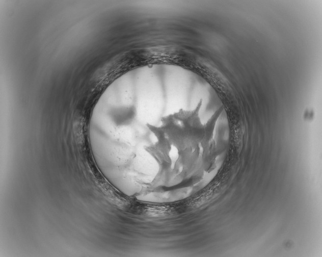 X0000093610757200711051219