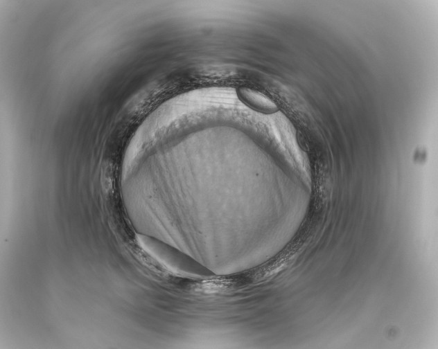 X0000093610758200711051219