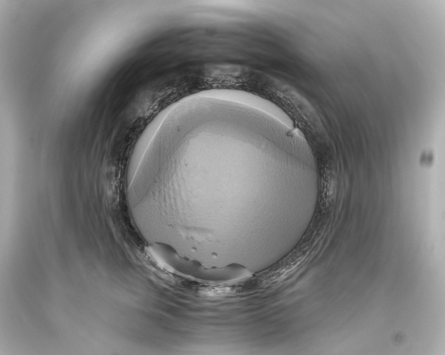X0000093610759200711051219