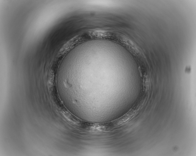 X0000093610760200711051219