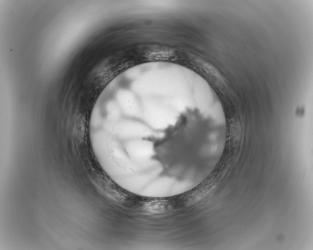 X0000093610761200711051219