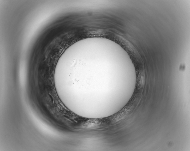 X0000093610764200711051219