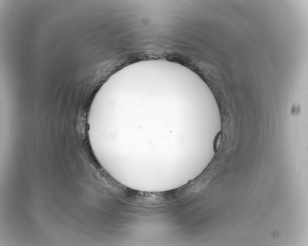 X0000093610768200711051219