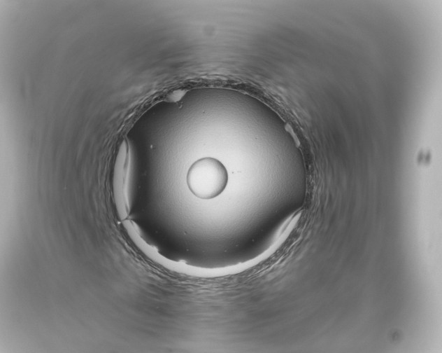 X0000093610769200711051218