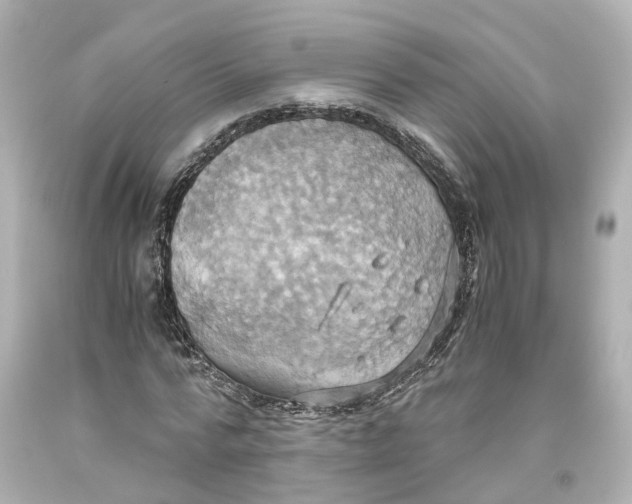 X0000093610776200711051218