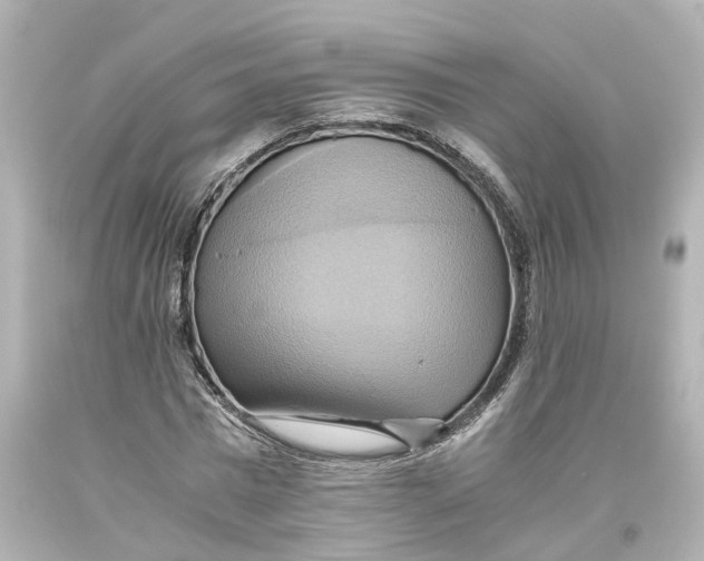 X0000093610777200711051218