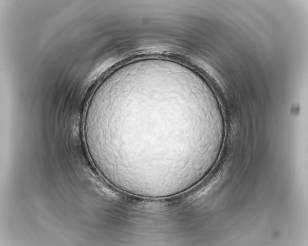 X0000093610778200711051218