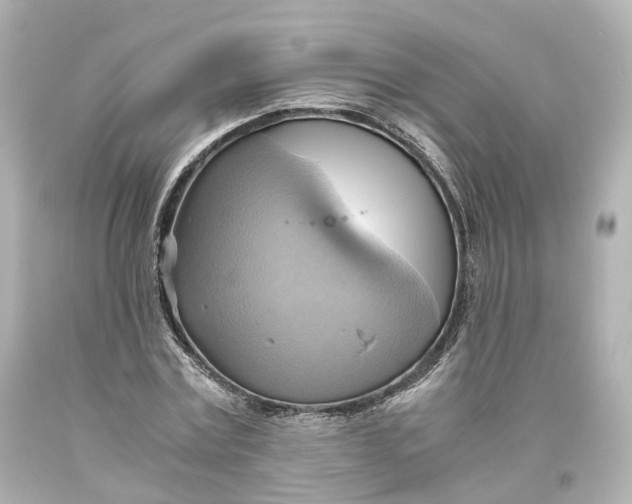 X0000093610779200711051218