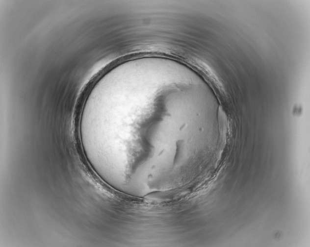 X0000093610780200711051218