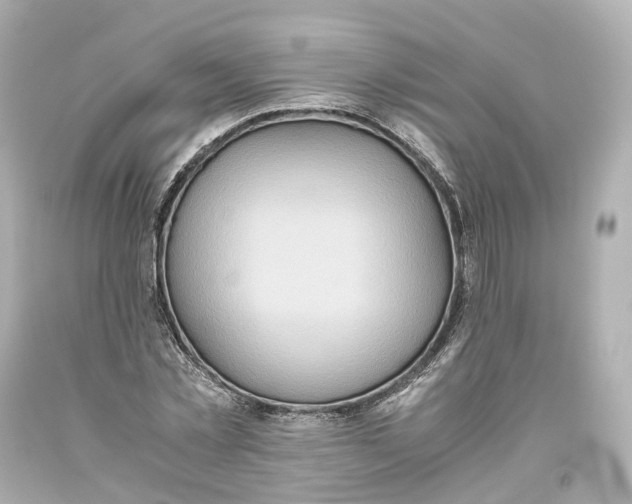 X0000093610781200711051218