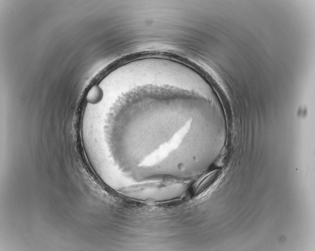 X0000093610783200711051218