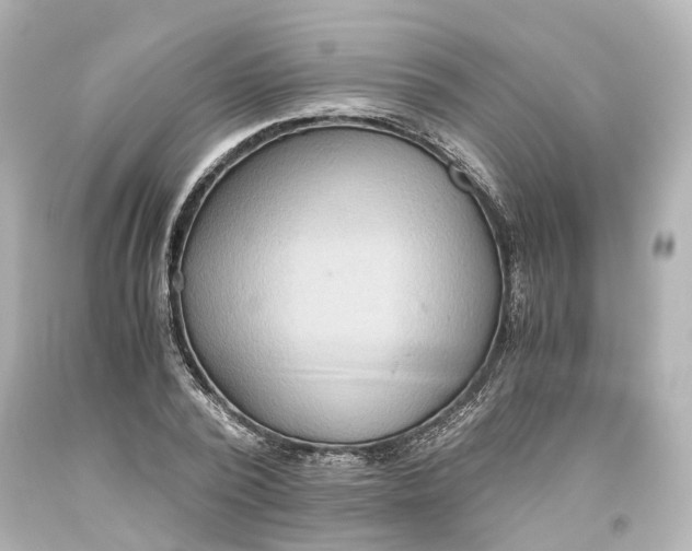 X0000093610784200711051218
