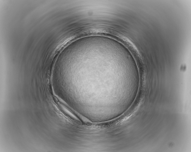 X0000093610785200711051218