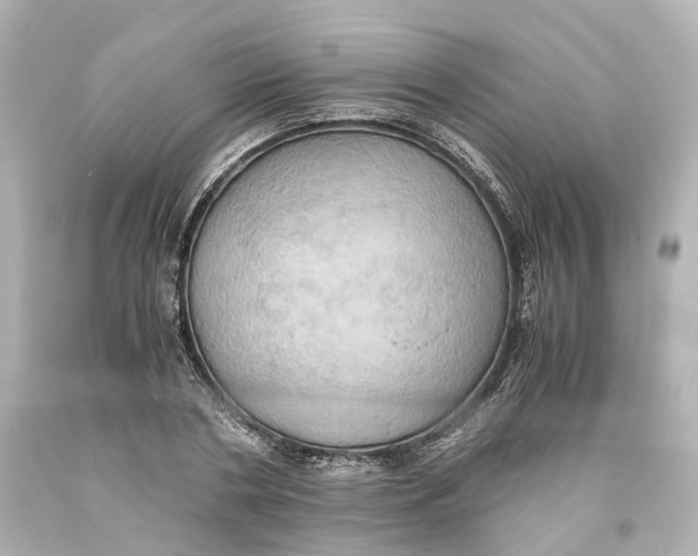 X0000093610786200711051218