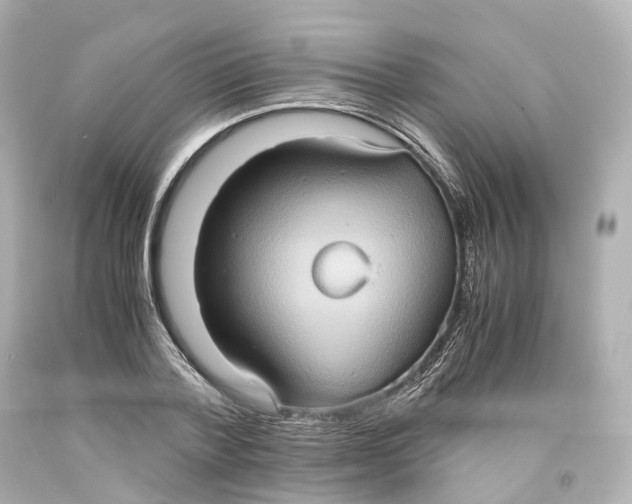 X0000093610788200711051218