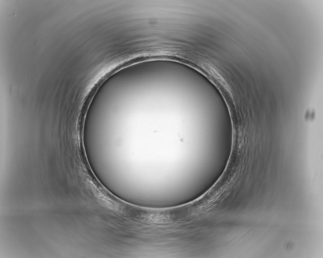 X0000093610789200711051218