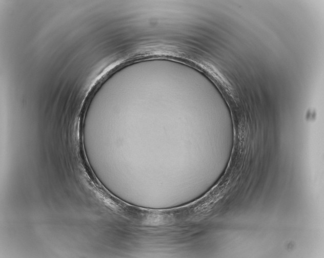 X0000093610790200711051218