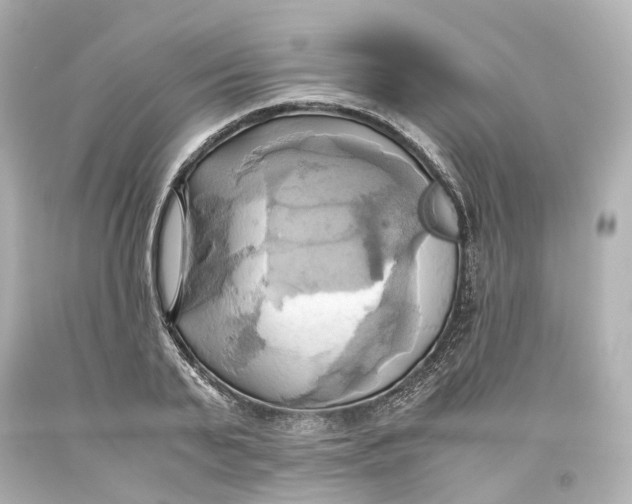 X0000093610791200711051218