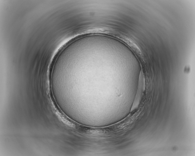 X0000093610792200711051218