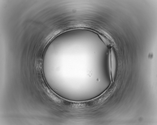 X0000093610793200711051218