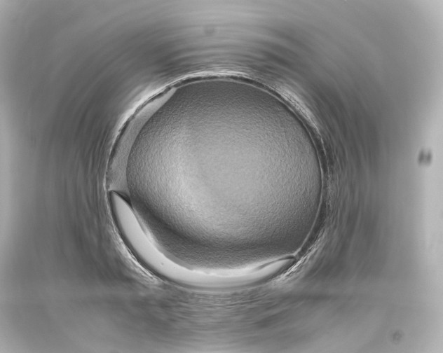 X0000093610797200711051218