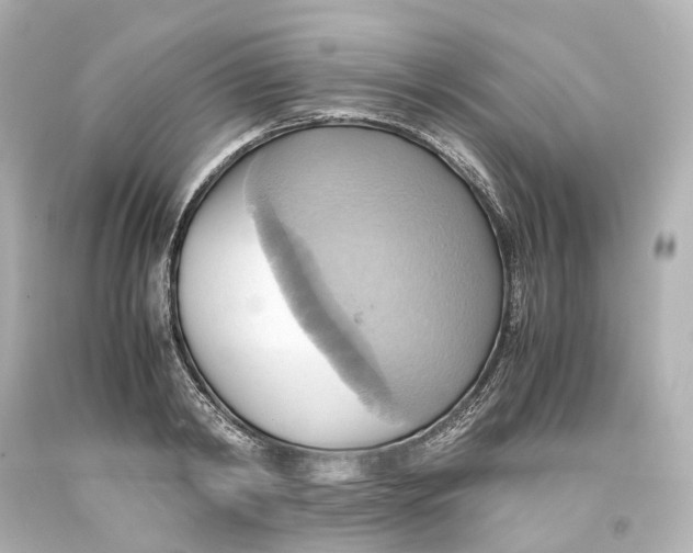 X0000093610798200711051218