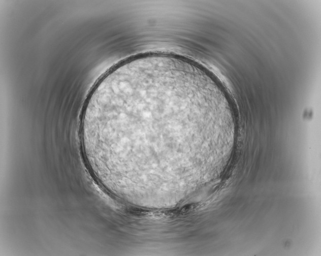 X0000093610799200711051218