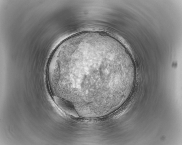 X0000093610803200711051218