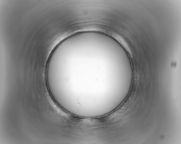 X0000093610805200711051218
